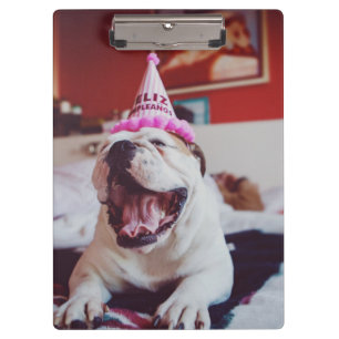 Britische Bulldogge Getty Bild-  Klemmbrett