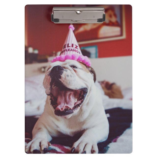 Britische Bulldogge Getty Bild-| Klemmbrett (Vorderseite)