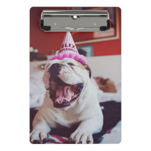 Britische Bulldogge Getty Bild- Mini Klemmbrett