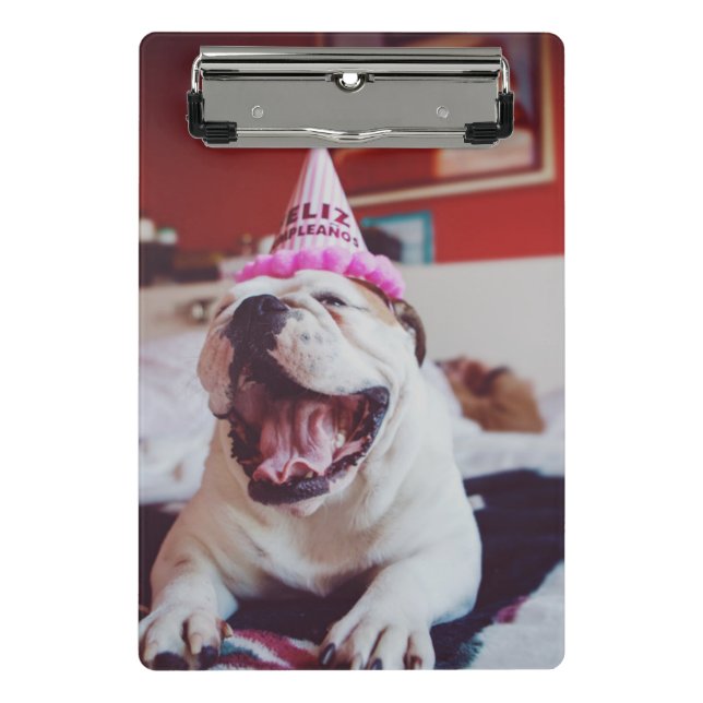 Britische Bulldogge Getty Bild-| Mini Klemmbrett (Vorderseite)