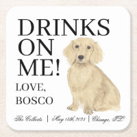 Britische Creme-Dackel