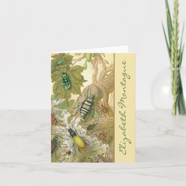 Britische Käfer Personalisierte Mitteilungskarten (Vorderseite)