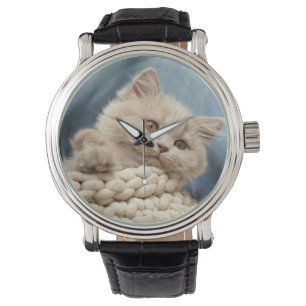 Britische Kurzhaar, Kitten, Haustier Armbanduhr