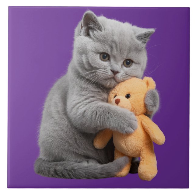 Britische Kurzhaar und Teddybär-dekorative Tile Fliese (Vorderseite)