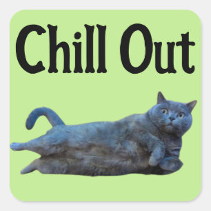Britische Kurzkatze beim Side Chill Out Quadratischer Aufkleber