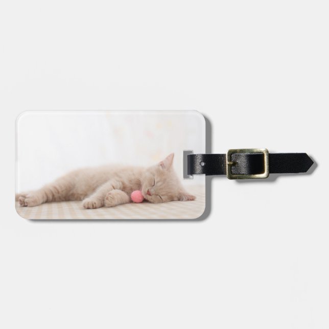 Britische Shorthair Katze Gepäckanhänger (Vorderseite horizontal)