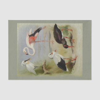 Britische Vögel, Kunstdarstellungen Seidenpapier