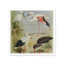 Britische Vögel, Kunstdarstellungen