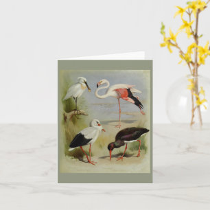 Britische Vögel, Kunstillustrationen Karte