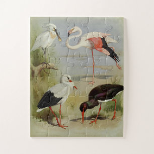 Britische Vögel, Kunstillustrationen Puzzle