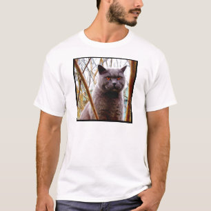Britischer blaue Katzen-T - Shirt