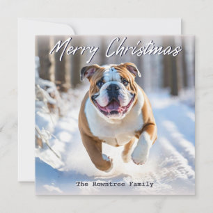 Britischer Bulldog-Hund im Schnee Weihnachten