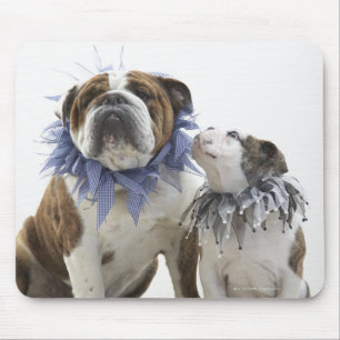Britischer Bulldog und Welpe mit Halsband, Mousepad