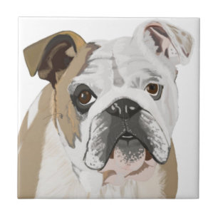 Britischer Bulldogge mit Union Jack Fliese