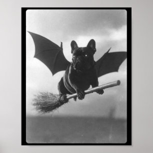 Britischer Bulldoggen-Hexenbesen-Fledermausflügel  Poster