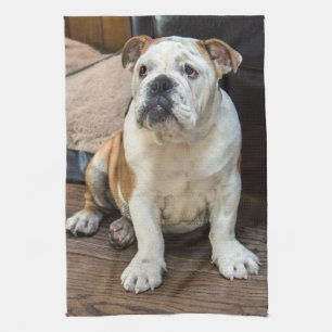 Britischer Bulldoggenwelpe Handtuch