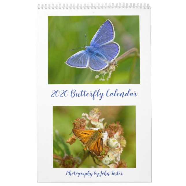 Britischer Butterflies-Kalender 2020 Kalender (Titelbild)