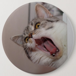 britischer Kurzhaar Button