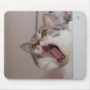 britischer Kurzhaar Mousepad