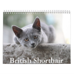 Britischer Kurzzeitkalender Kalender
