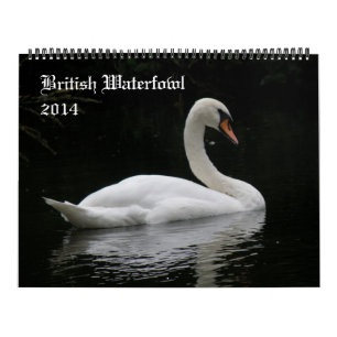 Britischer Wasservogel-Kalender 2014 Kalender