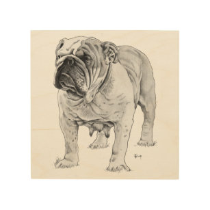 Britisches Bulldoggen-Zeichnen Holzleinwand