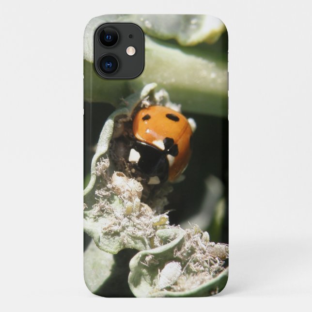 British 7 Spot Ladybug iPhone 3 Fall Case-Mate iPhone Hülle (Rückseite)