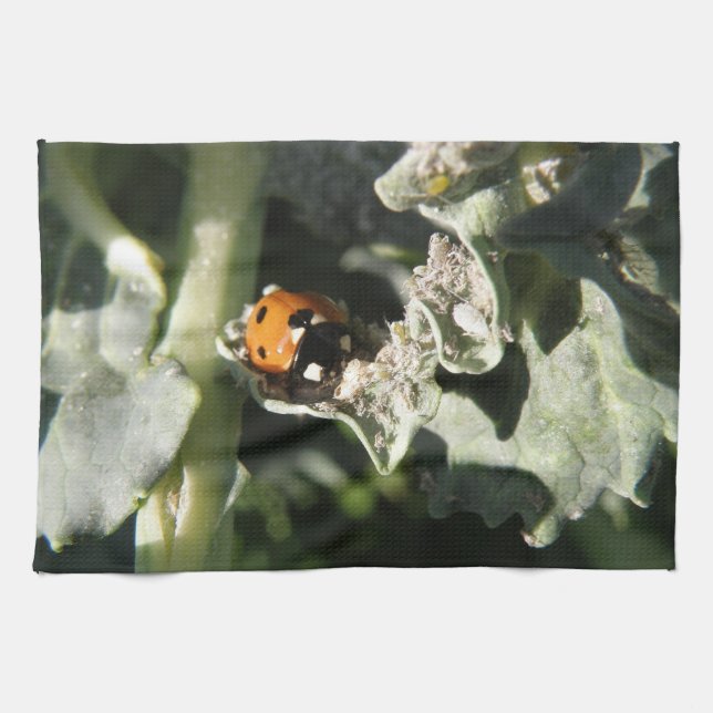 British 7 Spot Ladybug Küchentücher (Horizontal)