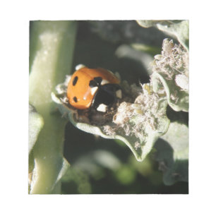 British 7 Spot Ladybug Notepad Notizblock