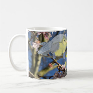 British Blue Chickadee Family gegen Pink Blossom Kaffeetasse