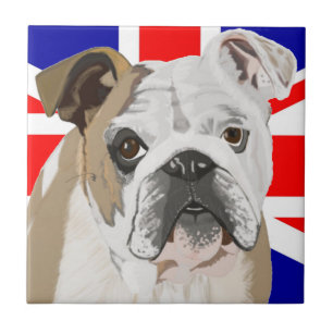 British Bulldog mit Union Jack Fliese