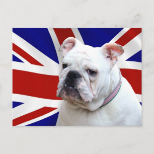 British Bulldog Postkarte
