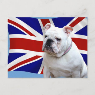 British Bulldog Postkarte