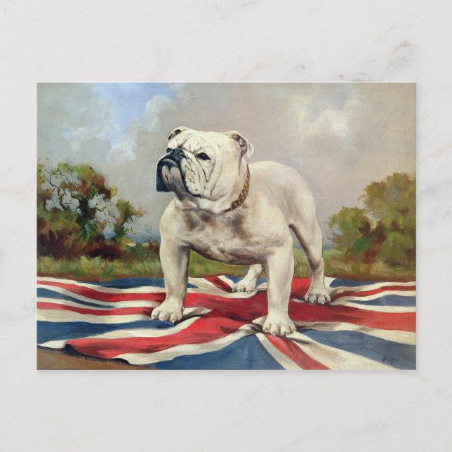 British Bulldog Postkarte (Vorderseite)
