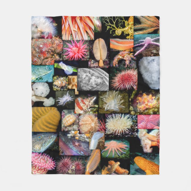 British Columbia Marine Life Collage Blanket Fleecedecke (Vorderseite)