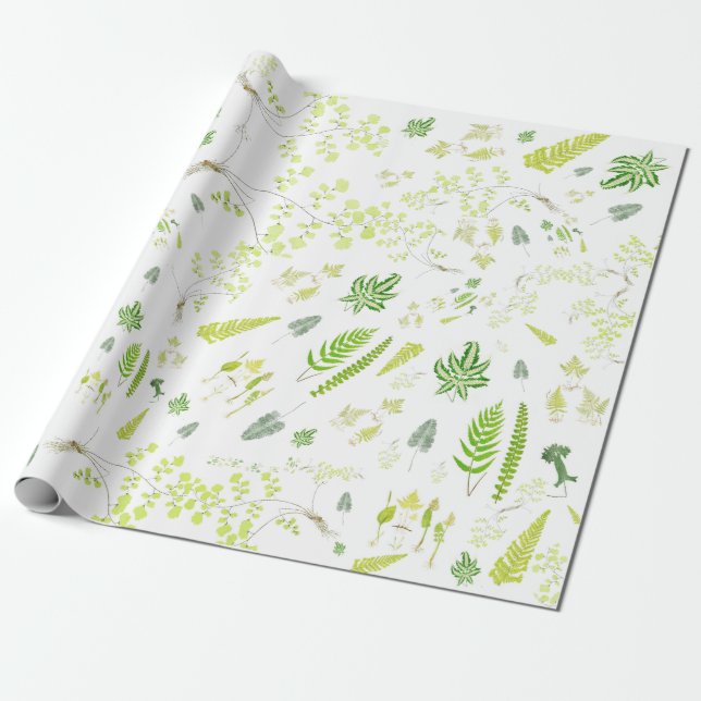 British Ferns in Victorian Drawings Wrapping Paper Geschenkpapier (Ungerollt)