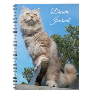 British Longhair Cat Dream Journal Notizblock