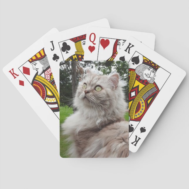 British Longhair Cat - Schokolade, Silver Tabby Spielkarten (Rückseite)