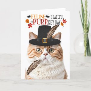 British Orange Cat Feline Dankbar für PURRkey Day Feiertagskarte