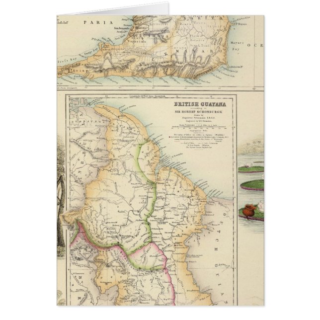 British Possessions an der Nordostküste (Vorne)