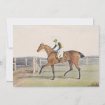 British Racehorse (Die Herzogin)