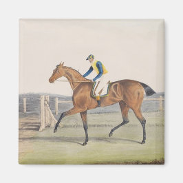 British Racehorse (Die Herzogin) Magnet