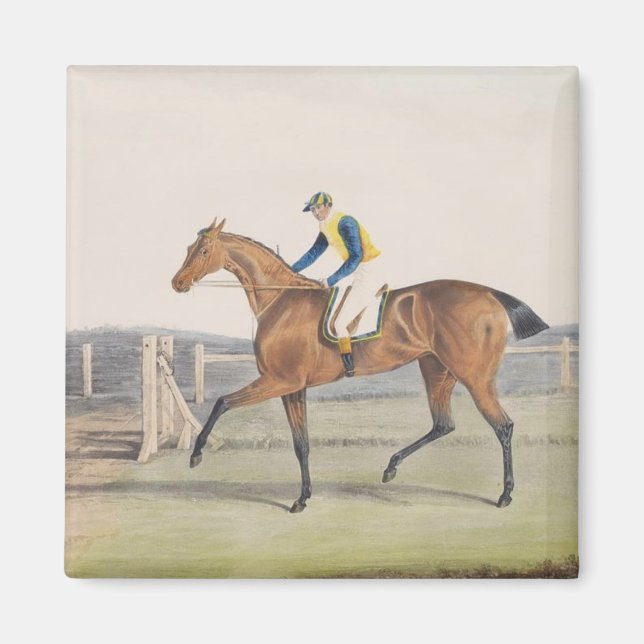 British Racehorse (Die Herzogin) Magnet (Vorne)