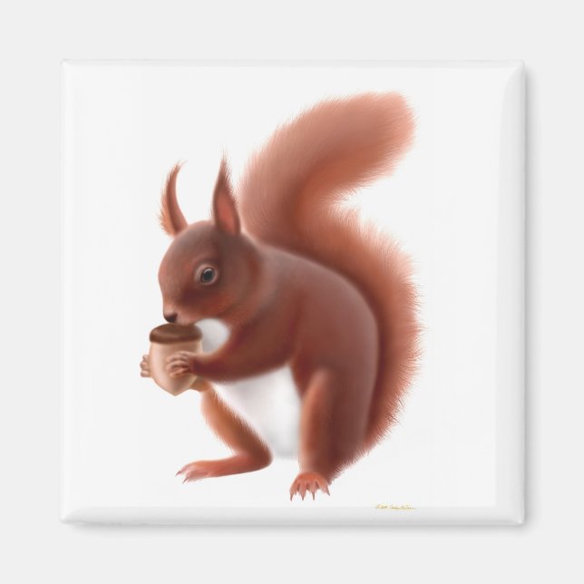 British Red Squirrel Magnet (Vorne)