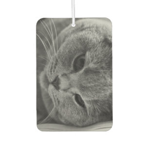British Shorthair Cat Autolufterfrischer