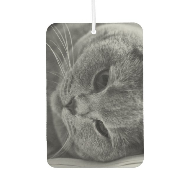 British Shorthair Cat Autolufterfrischer (Vorderseite)