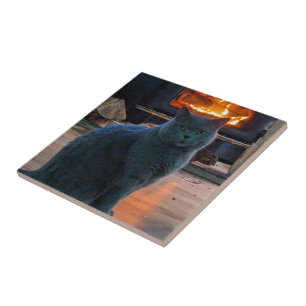 British Shorthair Cat Kitty Fireplace Fliese