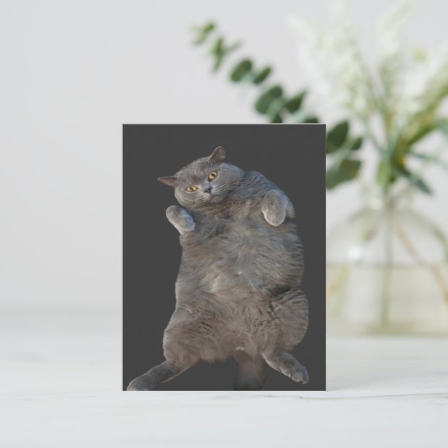 British Shorthair Cat Kitty Lay auf der Rückseite Postkarte (Stehend Vorderseite)