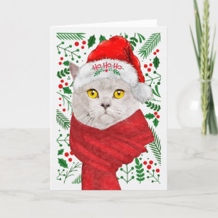 British Shorthair Cat Weihnachtsmannmütze Meowy Ch Feiertagskarte