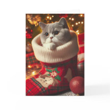 British Shorthair Chat in einem Strumpf Weihnachts
